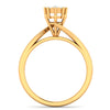 The Eternal Love Ring